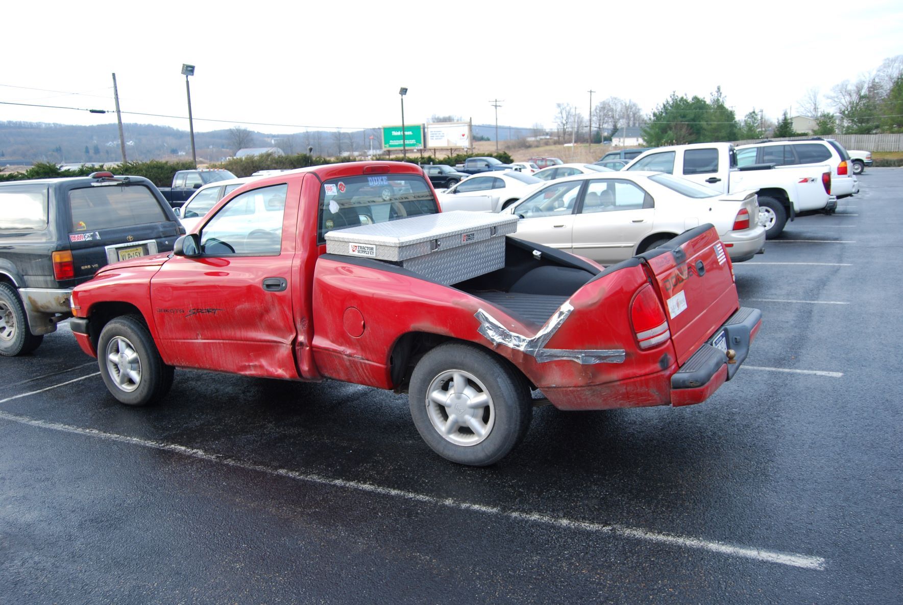 The Aftermath of Three Trees Falling on My Truck