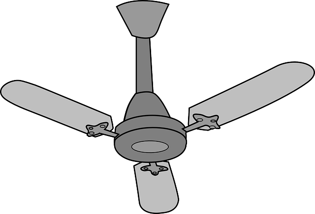 Ceiling fan graphic