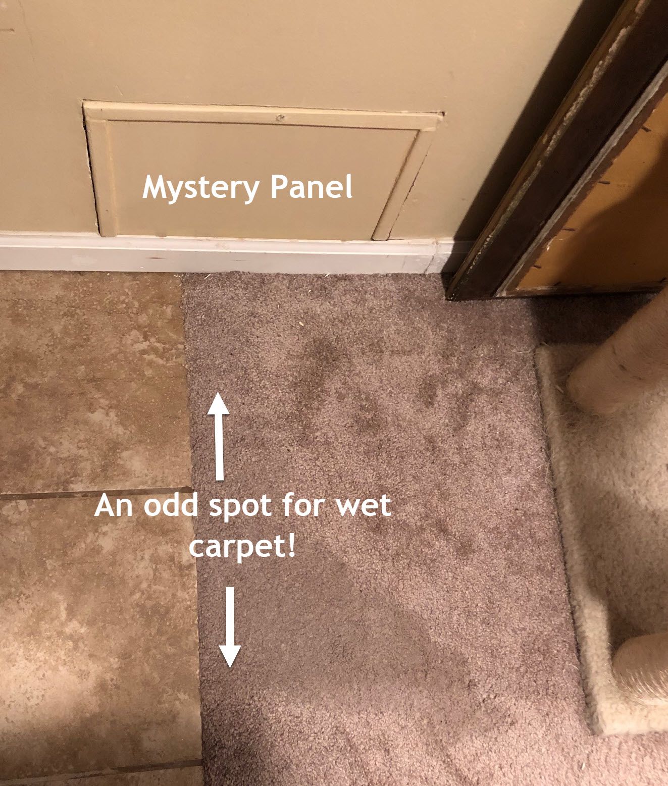 Picture showing the wet carpet at the transition to tile; an odd spot for a leak.