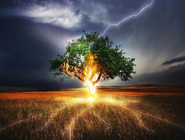 Graphic showing electricity traveling through the ground after a lightning strike