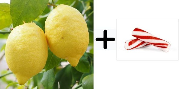 Image of lemons and porous peppermint sticks for Baltimore lemonade